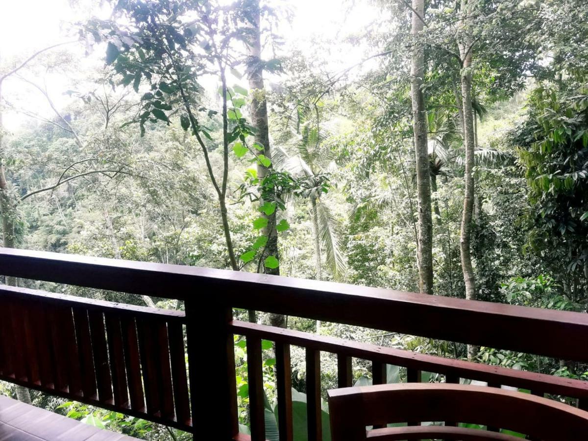 Готель Ubud River Side House Екстер'єр фото